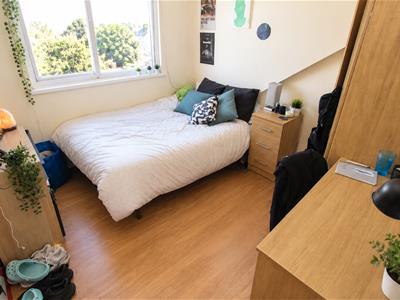 Picture 10
